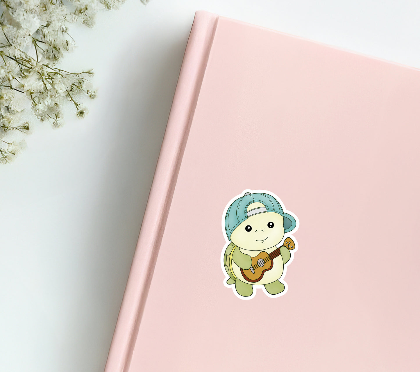 Turtle The Guitar Player