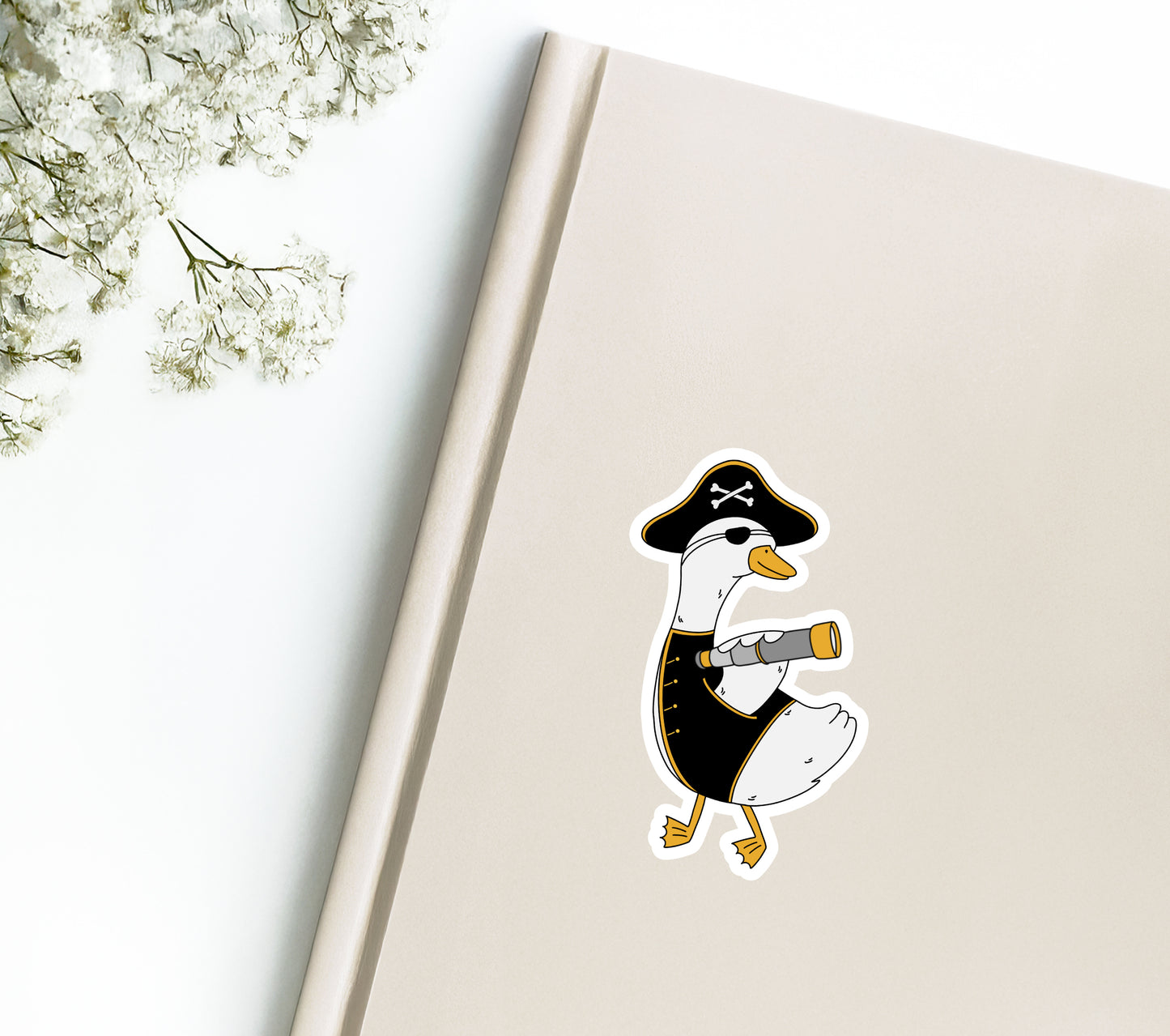 Silly Goose The Pirate