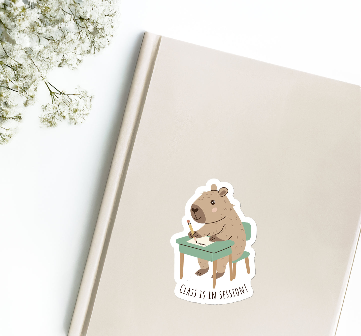 Capybara - CLASS IS IN SESSION!