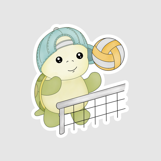 Turtle The Volleyball Player