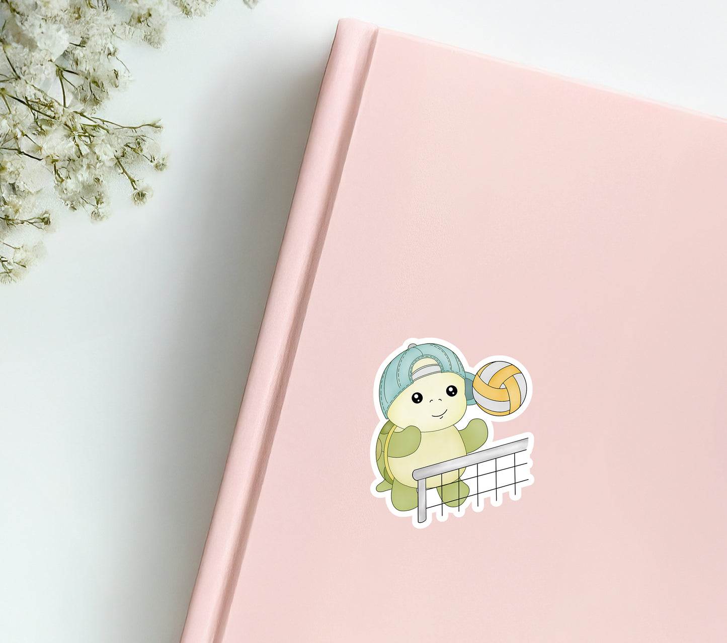 Turtle The Volleyball Player