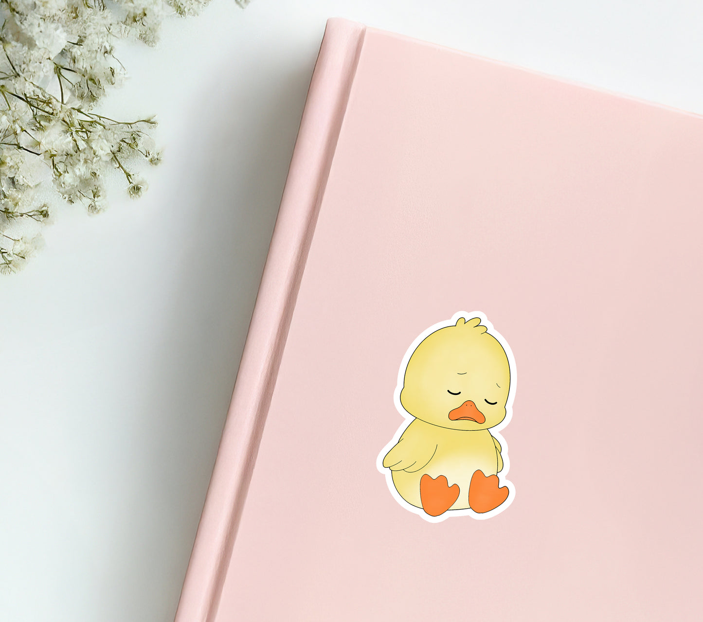 Little Duck Feeling Sad