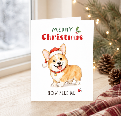 Christmas Card, Playful