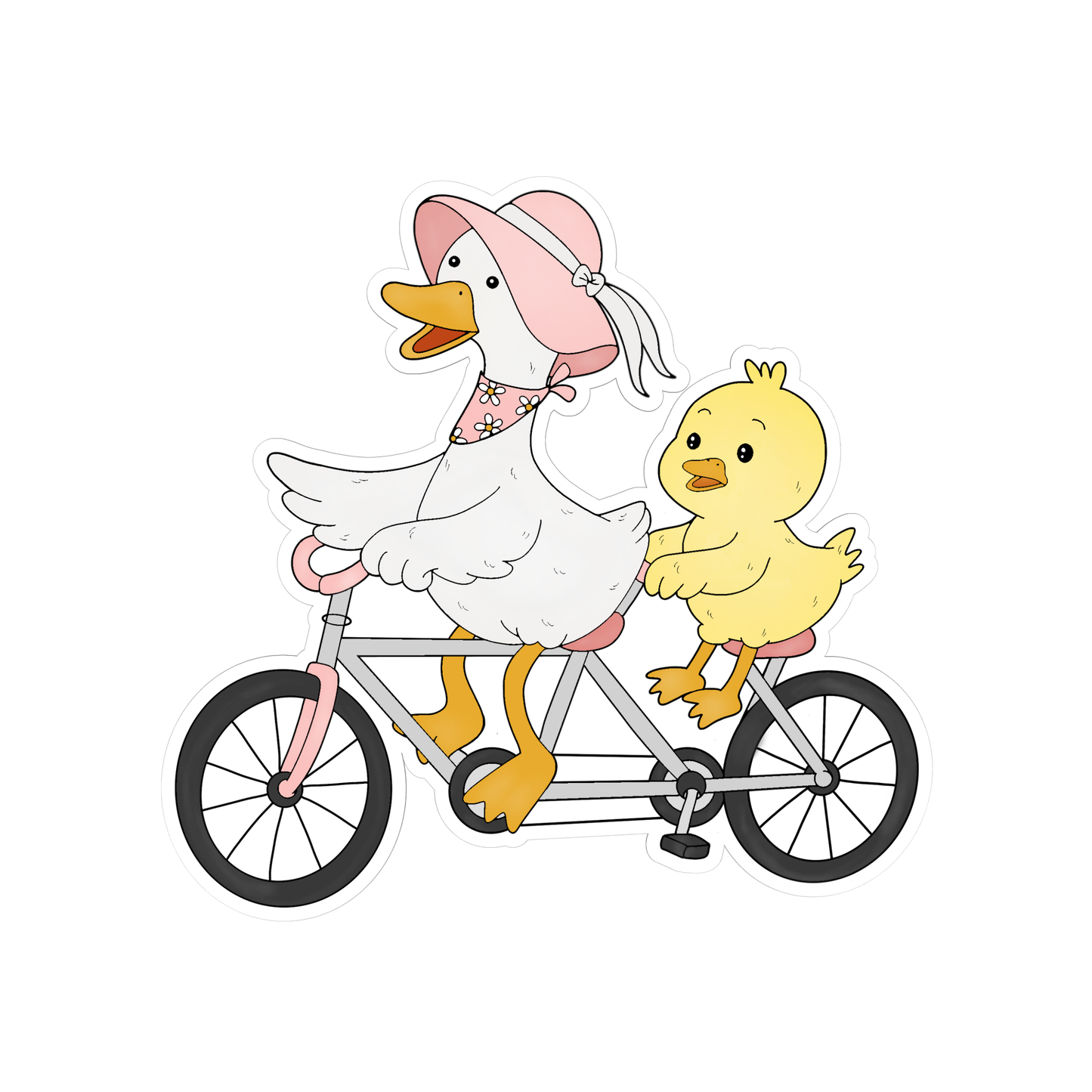Goose and Duck Friendship