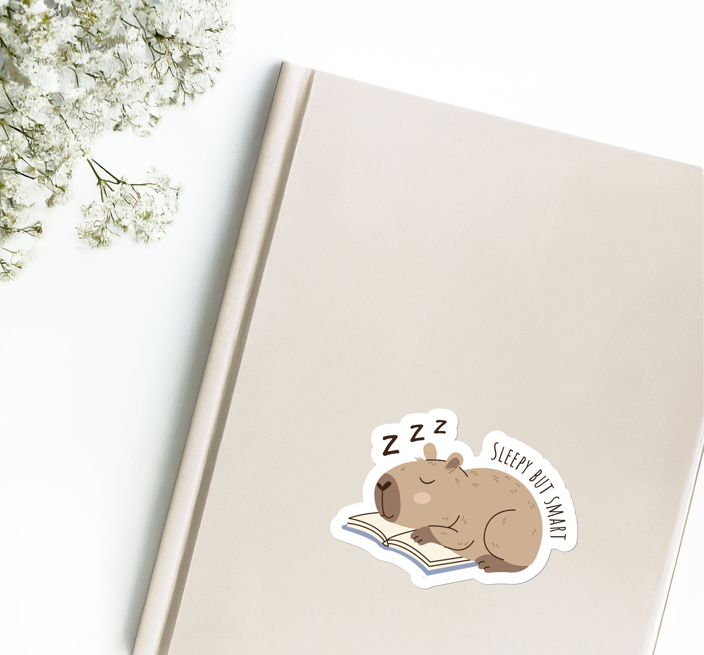Capybara - SLEEPY BUT SMART